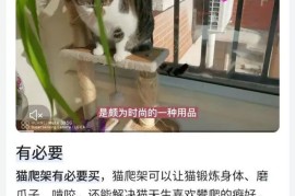 百度C位创作课堂：一篇文带你了解“C位直达”-2025最新seo资料