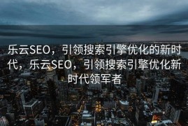 乐云SEO，引领搜索引擎优化的新时代，乐云SEO，引领搜索引擎优化新时代领军者