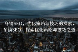 冬镜SEO，优化策略与技巧的探索，冬镜SEO，探索优化策略与技巧之道