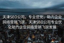 天津SEO公司，专业优化，助力企业网络营销飞跃，天津SEO公司专业优化助力企业网络营销飞跃发展