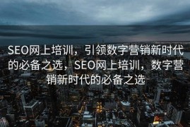 SEO网上培训，引领数字营销新时代的必备之选，SEO网上培训，数字营销新时代的必备之选