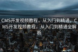 CMS开发视频教程，从入门到精通，CMS开发视频教程，从入门到精通全解析