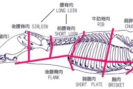 企业网站设计师基本功修炼记-2025最新seo资料