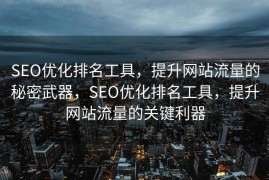 SEO优化排名工具，提升网站流量的秘密武器，SEO优化排名工具，提升网站流量的关键利器