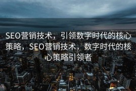 SEO营销技术，引领数字时代的核心策略，SEO营销技术，数字时代的核心策略引领者