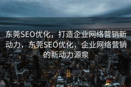 东莞SEO优化，打造企业网络营销新动力，东莞SEO优化，企业网络营销的新动力源泉