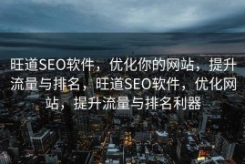 旺道SEO软件，优化你的网站，提升流量与排名，旺道SEO软件，优化网站，提升流量与排名利器