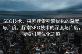SEO技术，探索搜索引擎优化的深度与广度，探索SEO技术的深度与广度，搜索引擎优化之道