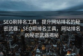 SEO刷排名工具，提升网站排名的秘密武器，SEO刷排名工具，网站排名的秘密武器揭秘