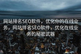 网站排名SEO软件，优化你的在线业务，网站排名SEO软件，优化在线业务的秘密武器