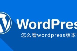 怎么看wordpress版本号