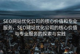 SEO网站优化公司的核心价值和专业服务，SEO网站优化公司的核心价值与专业服务的探索与实践