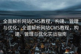 全面解析网站CMS教程，构建、管理与优化，全面解析网站CMS教程，构建、管理与优化实战指南