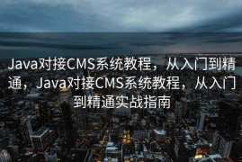 Java对接CMS系统教程，从入门到精通，Java对接CMS系统教程，从入门到精通实战指南