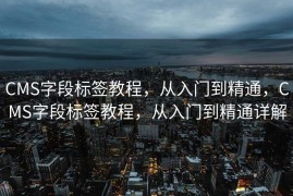CMS字段标签教程，从入门到精通，CMS字段标签教程，从入门到精通详解