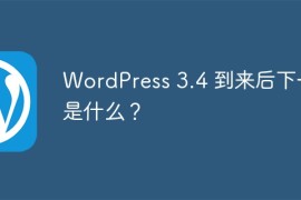 WordPress 3.4 到来后下一步是什么？