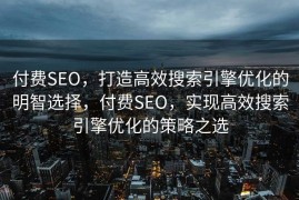 付费SEO，打造高效搜索引擎优化的明智选择，付费SEO，实现高效搜索引擎优化的策略之选