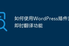 如何使用WordPress插件实现即时翻译功能