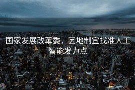 国家发展改革委，因地制宜找准人工智能发力点