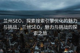 兰州SEO，探索搜索引擎优化的魅力与挑战，兰州SEO，魅力与挑战的探索之旅