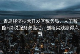 青岛经济技术开发区税务局，人工智能+纳税服务双驱动，创新实践赢得点赞