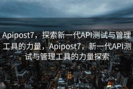 Apipost7，探索新一代API测试与管理工具的力量，Apipost7，新一代API测试与管理工具的力量探索