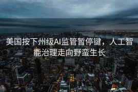 美国按下州级AI监管暂停键，人工智能治理走向野蛮生长