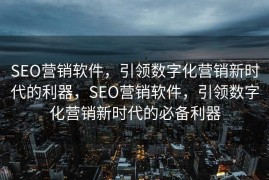 SEO营销软件，引领数字化营销新时代的利器，SEO营销软件，引领数字化营销新时代的必备利器
