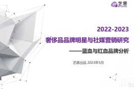 艺恩：2022-2023奢侈品品牌明星与社媒营销研究报告-2025最新seo资料