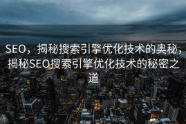 SEO，揭秘搜索引擎优化技术的奥秘，揭秘SEO搜索引擎优化技术的秘密之道