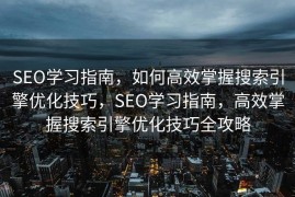 SEO学习指南，如何高效掌握搜索引擎优化技巧，SEO学习指南，高效掌握搜索引擎优化技巧全攻略