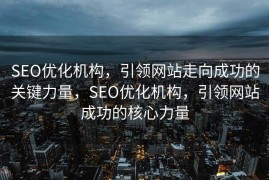SEO优化机构，引领网站走向成功的关键力量，SEO优化机构，引领网站成功的核心力量