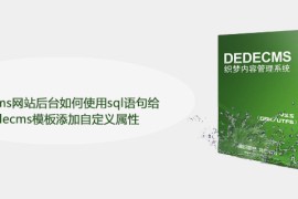 dedecms网站后台如何使用sql语句给dedecms模板添加自定义属性
