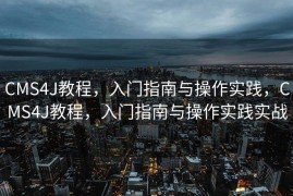 CMS4J教程，入门指南与操作实践，CMS4J教程，入门指南与操作实践实战