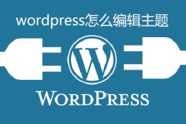 wordpress怎么编辑主题