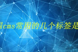 帝国cms常用的几个标签是什么