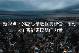 新视点下的高质量数据集建设，驱动人工智能更聪明的力量