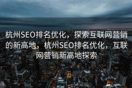 杭州SEO排名优化，探索互联网营销的新高地，杭州SEO排名优化，互联网营销新高地探索