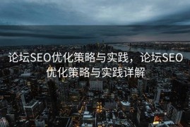 论坛SEO优化策略与实践，论坛SEO优化策略与实践详解