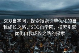 SEO自学网，探索搜索引擎优化的自我成长之路，SEO自学网，搜索引擎优化自我成长之路的探索