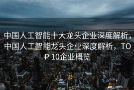 中国人工智能十大龙头企业深度解析，中国人工智能龙头企业深度解析，TOP 10企业概览