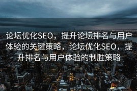 论坛优化SEO，提升论坛排名与用户体验的关键策略，论坛优化SEO，提升排名与用户体验的制胜策略