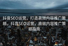 抖音SEO运营，打造高效内容推广策略，抖音SEO运营，高效内容推广策略指南