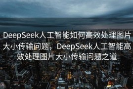 DeepSeek人工智能如何高效处理图片大小传输问题，DeepSeek人工智能高效处理图片大小传输问题之道