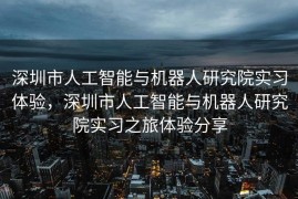 深圳市人工智能与机器人研究院实习体验，深圳市人工智能与机器人研究院实习之旅体验分享