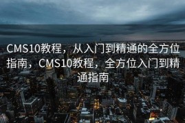 CMS10教程，从入门到精通的全方位指南，CMS10教程，全方位入门到精通指南