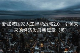 新加坡国家人工智能战略2.0，引领未来的经济发展新篇章（英）