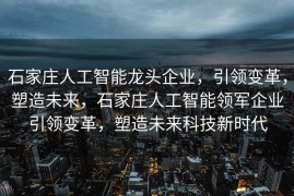 石家庄人工智能龙头企业，引领变革，塑造未来，石家庄人工智能领军企业引领变革，塑造未来科技新时代
