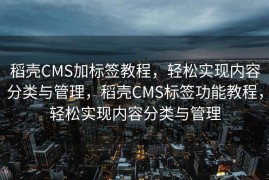 稻壳CMS加标签教程，轻松实现内容分类与管理，稻壳CMS标签功能教程，轻松实现内容分类与管理