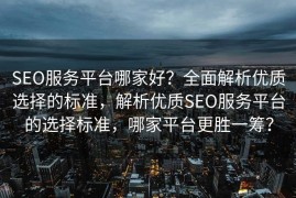 SEO服务平台哪家好？全面解析优质选择的标准，解析优质SEO服务平台的选择标准，哪家平台更胜一筹？